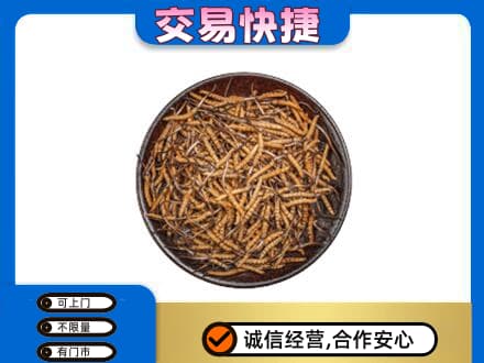 曲靖高价回收散虫草